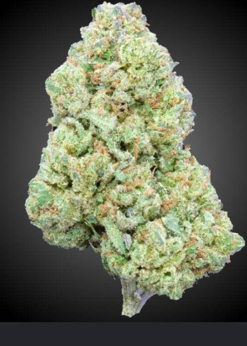 JB Glueberry: 2G @ 1,200 ksh