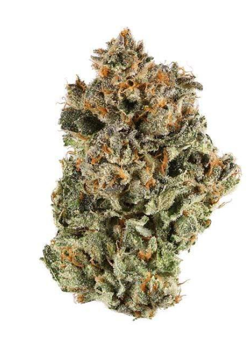 Dark star: 2G @1200 KSH